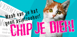 Stichting Amivedi